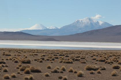 Salar de Surire