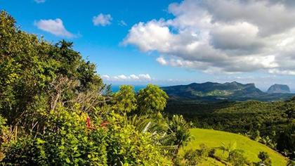 Black River Gorges National Park