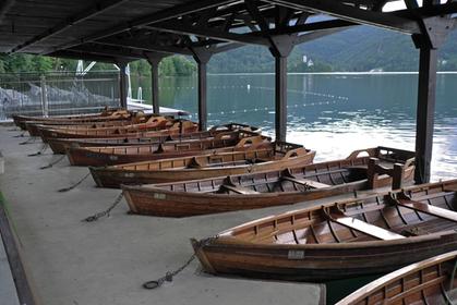 Rowing Boats at Lake Bled