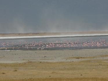Ngorongoro Conservation Area
