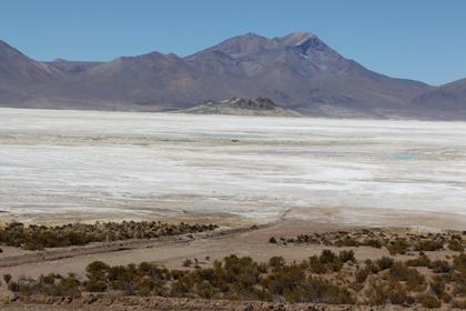Salar de Surire