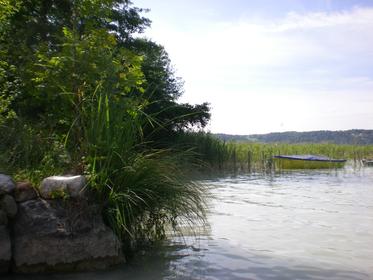 Ilot au centre du lac d'AIguebelette