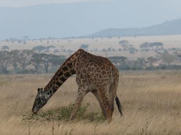 Serengeti National Park