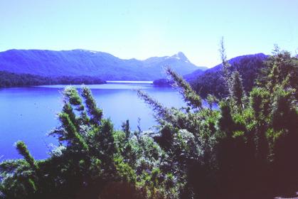 Parque Nacional Lanín