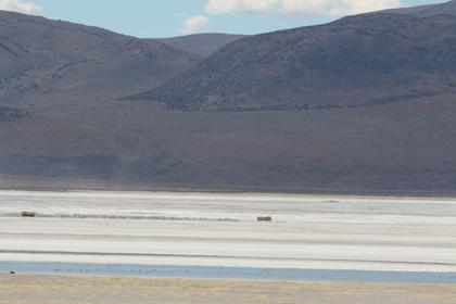 Salar de Surire