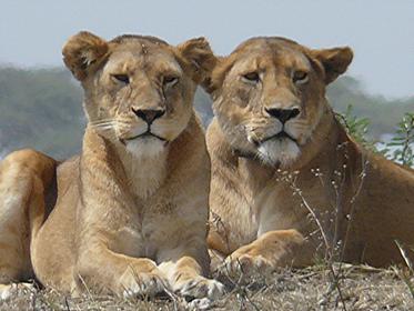 Serengeti National Park