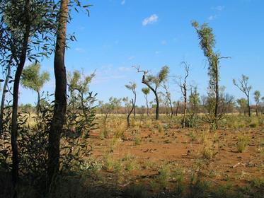 Balade autour d'Uluru