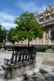 ... in Sevilla ...
