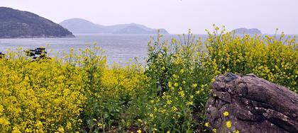 spring of namhae
