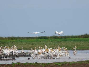 Lake Manyara National Park