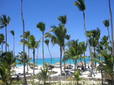 Coconut coast