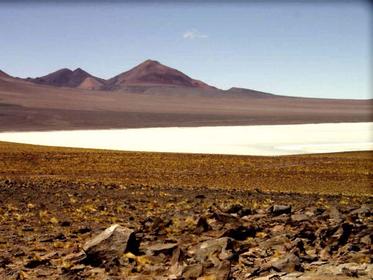 Laguna Brava