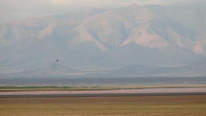 Lake Manyara National Park
