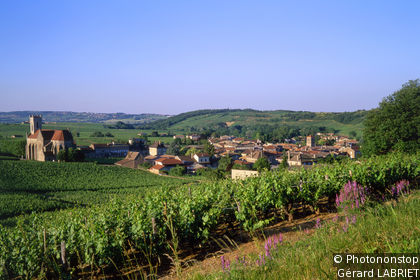 The Mâconnais