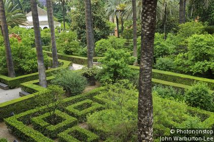 Alcazar Gardens