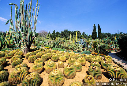 Pinya de Rosa Botanical Garden