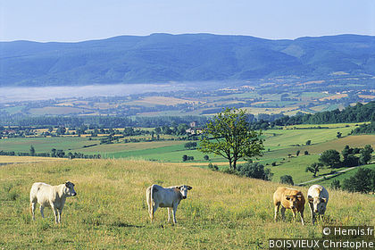 Montagne Noire
