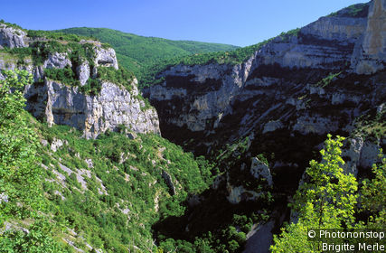 Nesque Gorge