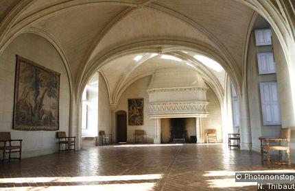 Château du Plessis-Bourré