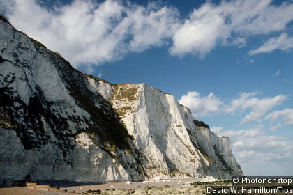 White Cliffs