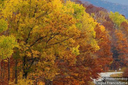 Kancamagus Highway