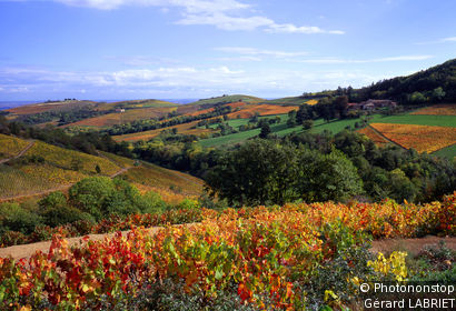 Beaujolais