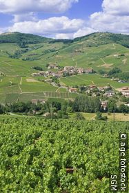 Beaujolais
