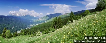 Parco Nazionale Dolomiti Bellunesi