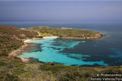 Parco Nazionale dell'Asinara