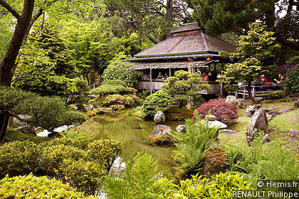 San Francisco Botanical Garden at Strybing Arboretum
