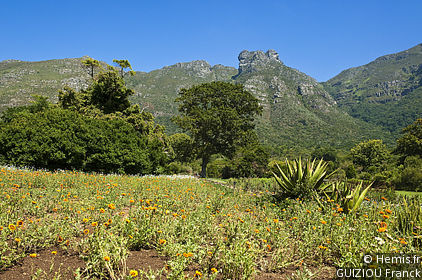 Botanical Gardens