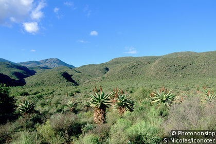 Little Karoo