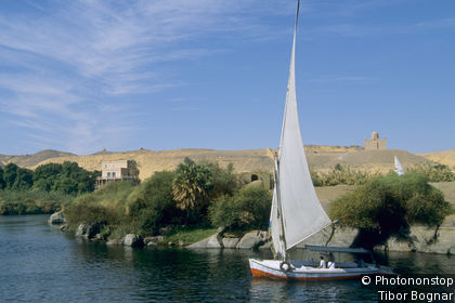 Elephantine Island