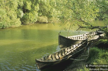 The Danube Delta