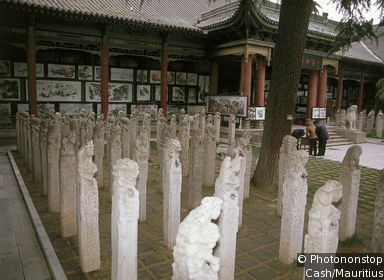 Museum of the Stele Forest