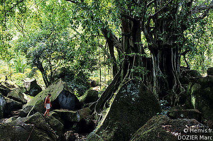 Rock Carvings Archaeological Park