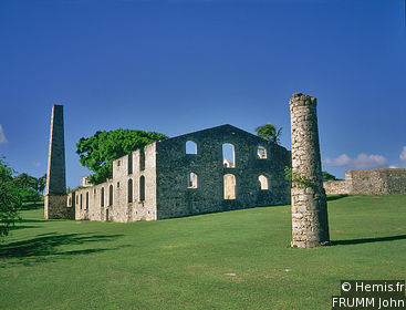 Murat Plantation