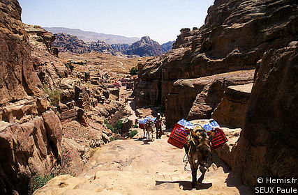Ascent to the Deir