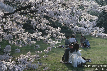 Shinjuku Gyoen National Garden