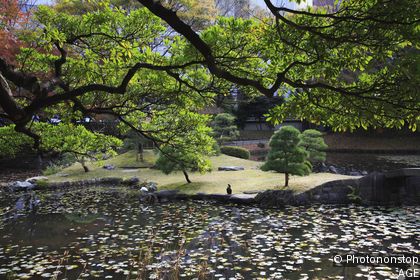 Koraku-en Garden