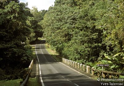 Route de la Trace