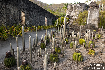 Habitation Anse-Latouche