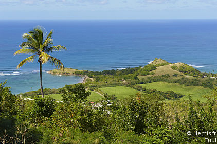 Nature Reserve of La Caravelle