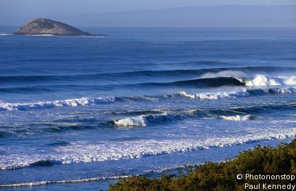 Otago Peninsula
