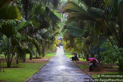 Peradeniya Botanical Gardens