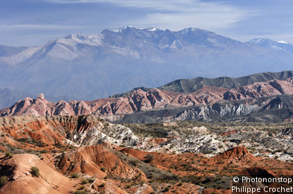 Parque Nacional los Cardones