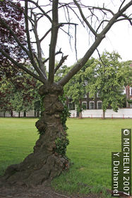 Petit béguinage