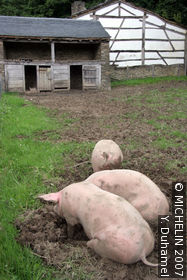 Wallonia Rural Life Museum