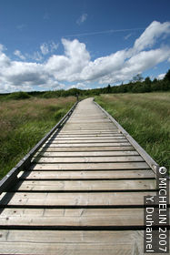 Nature Trail