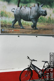 Zoo